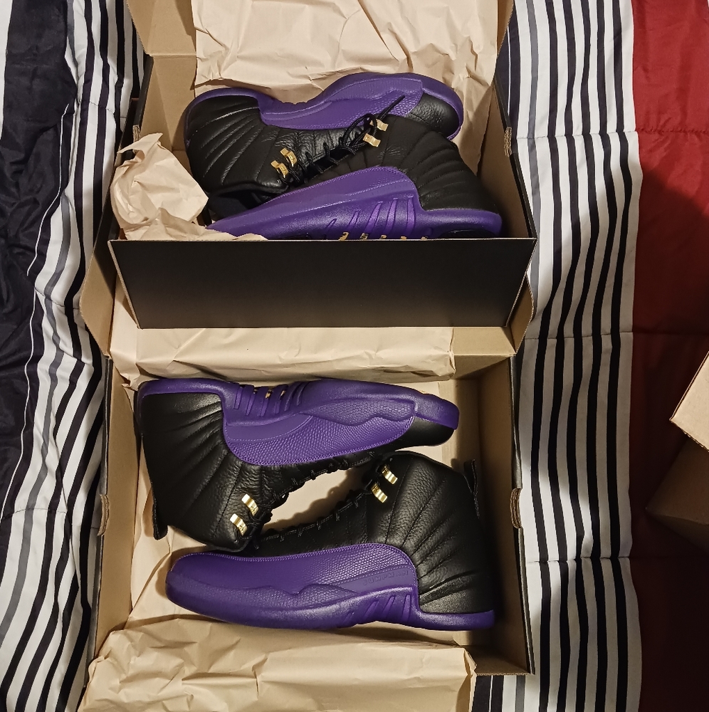  Jordan 12 Retro Field Purple Men's Size 13
